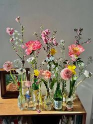 -美肤盾祛痘·问题肌头疗管理中心