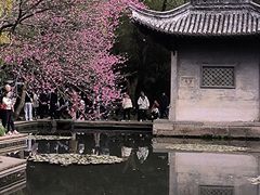 -兰亭风景区