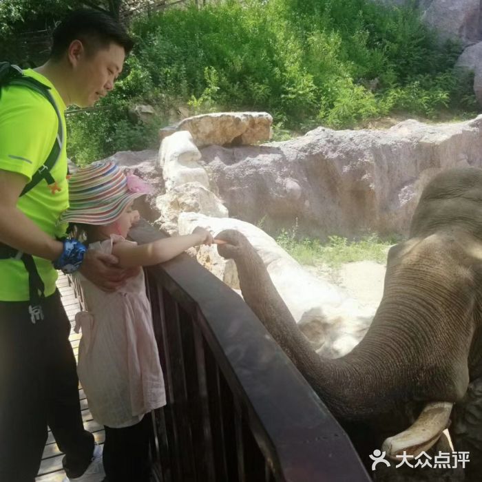 青岛森林野生动物世界图片