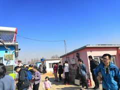 -大自然农场蔬菜草莓采摘园