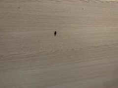 -JOYA湾悦国际酒店(世界之窗店)