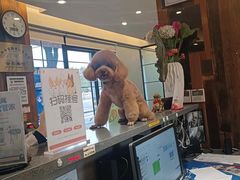 -宠颐生斯嘉宠物医院·急重症·心内科(谷阳北路分院)