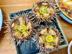 -海胆小馆(东北水饺·春柳店)