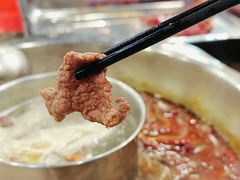 -金鼎雪山牦牛杂火锅(理县总店)