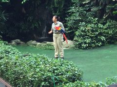 -新加坡飞禽公园