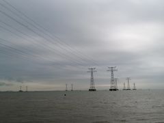 -宝安西湾红树林湿地公园