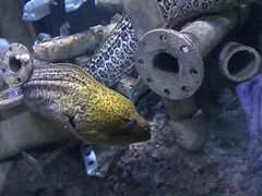 -成都浩海立方海洋公园