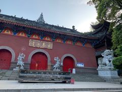 -龙翔山庄雷鸡肉(青城后山泰安古镇店)