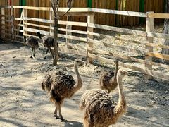 -水上乐园·欢乐世界