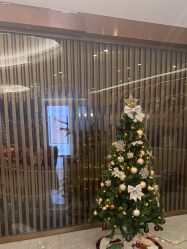 -奥本科技美肤·养生SPA