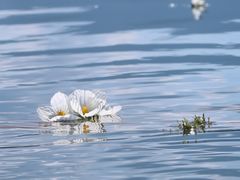 -丽江泸沽湖景区