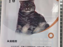 -全心全意连锁动物医院·微创中心·内科急重症·心脏专科(丰管路店)