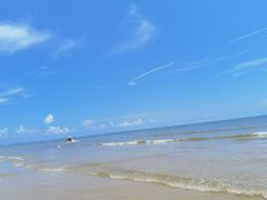 -日照海滨国家森林公园