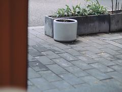 -五进制 Coffee Shop