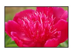 -中国药科大学（江宁校区）-图书馆