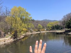 -棒棰岛宾馆景区