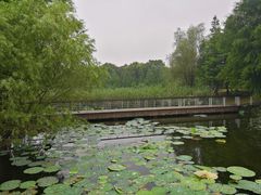 -同里国家湿地公园