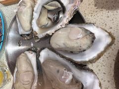 -蚝堡·生蚝海鲜烧烤物种起源•海肠捞饭(刘公岛店)