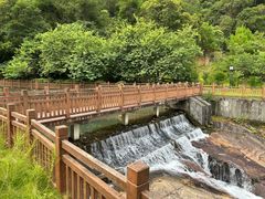 -广州白江湖森林公园