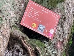 -峨眉山报国寺
