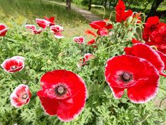 -国家植物园南园