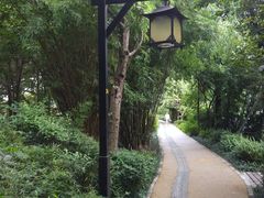 -成都市活水公园