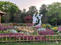 -上海共青森林公园