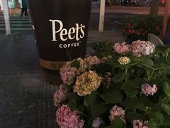 -Peet's Coffee皮爷咖啡(大学路店)