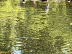 -星巴克(西湖天地店)