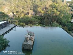 -厦门园林植物园-植物园滴水山房