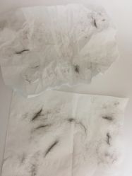 -银座Calla日式美容沙龙