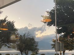 -野菌皇海景野生菌火锅(滨海大道店)