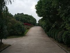-广垦（茂名）国家热带农业公园