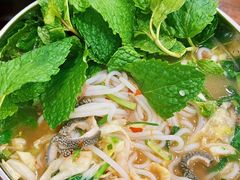 -攀枝花·任德琼·盐边羊肉米线