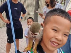 -水上乐园·欢乐世界