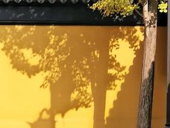 -西园戒幢律寺