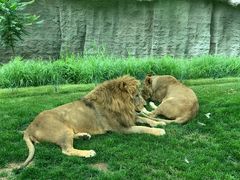 -北京野生动物园