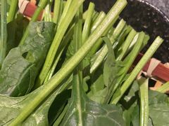 -湊湊火锅·茶憩(皇姑万象汇店)