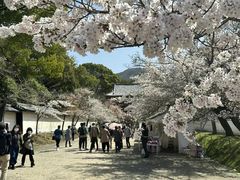 -醍醐寺