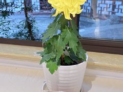 -汇龙潭