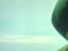 放映厅-太平洋电影城(洋洋百货店)