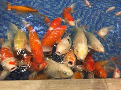 -盆满钵满·国家非遗传承(云台店)