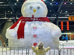 -宁波冰雪大世界(北仑区)