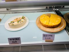 -猫里有甜
