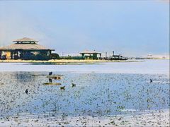 -腾冲北海湿地
