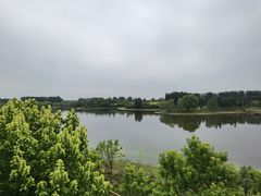 -东郊湿地公园