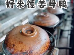 -百家春好德来姜母鸭