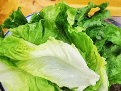 -乳仔牛牦牛汤锅 烤羊排(松潘古城店)