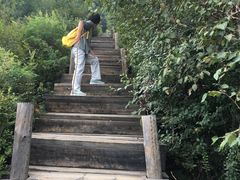 -白草畔自然风景区