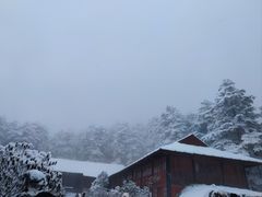 -峨眉山风景名胜区